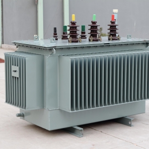 China Oil immersed transformer manufacturer Oil Type 80KVA to 3150KVA Transformers 