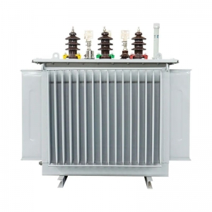 china oil immersed distribution transformer 800kVA 11/0.4kV S13 type oil immersed power transformer